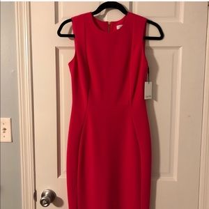 Calvin Klein Scuba Dress